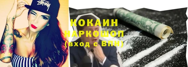 крисы Гусев