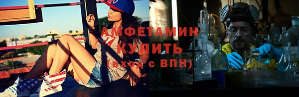 ECSTASY Гусь-Хрустальный