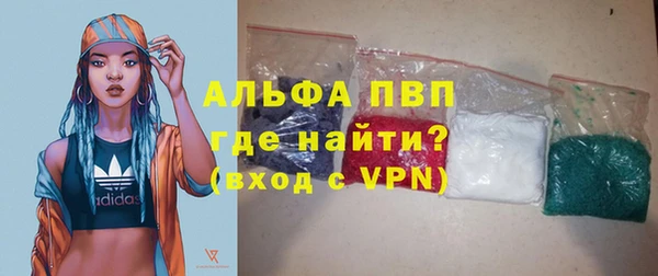 крисы Гусев