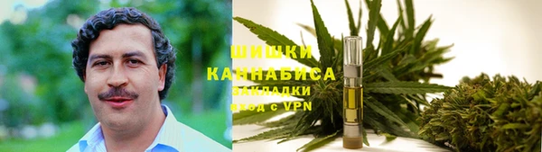 ECSTASY Гусь-Хрустальный