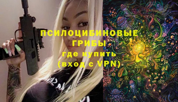 крисы Гусев