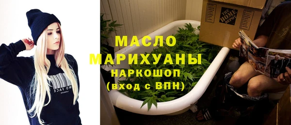 ECSTASY Гусь-Хрустальный