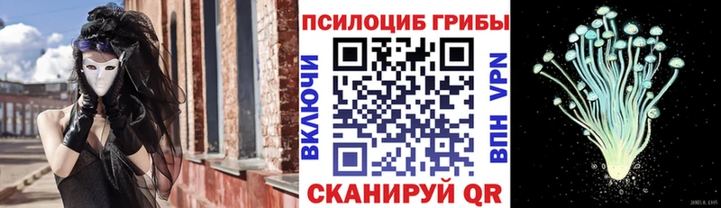 Псилоцибиновые грибы Magic Shrooms  Купить закладки  Каменногорск 